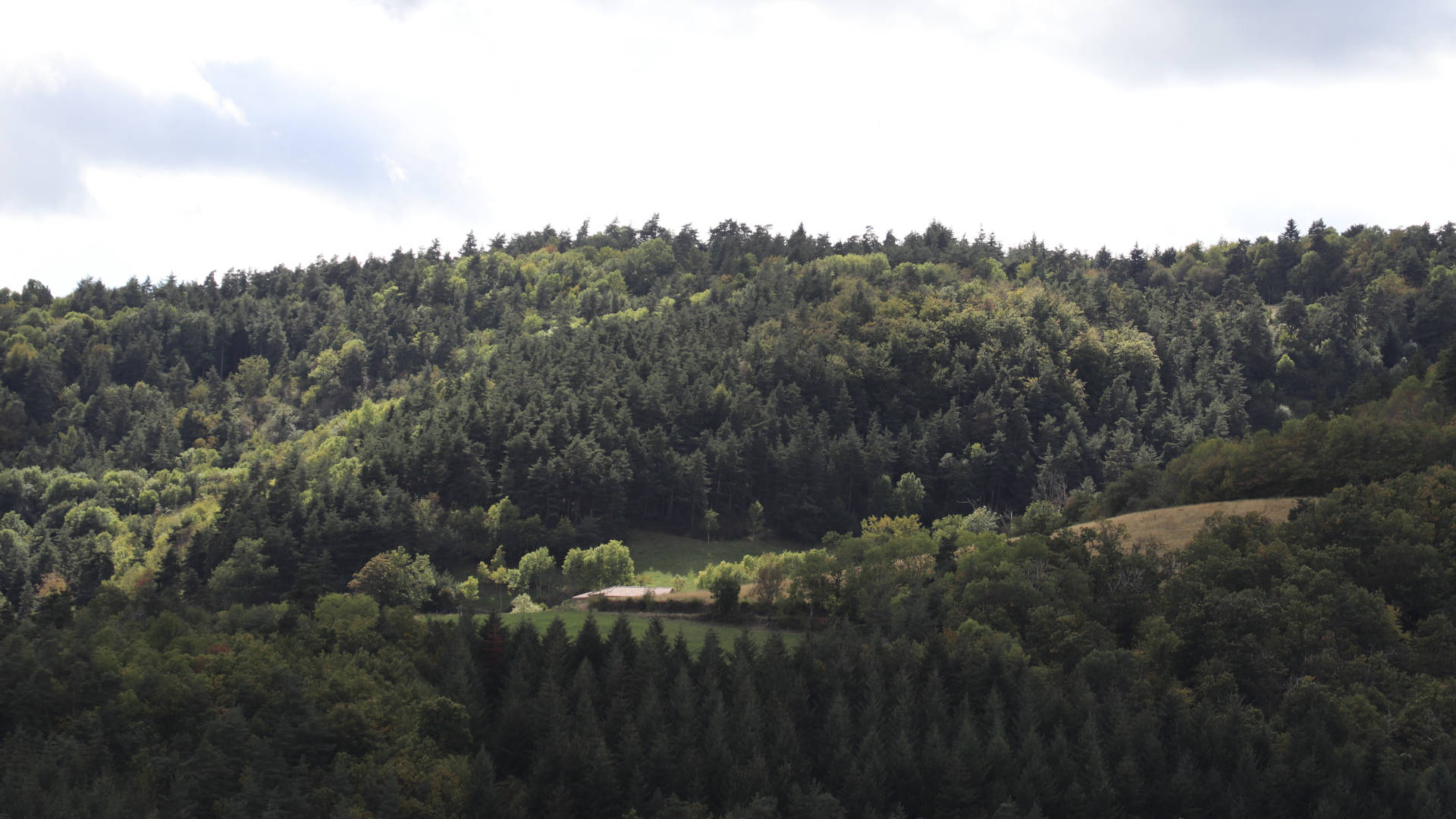 Malburet Patrick: Magnétisme, Lâcher prise, Relaxation